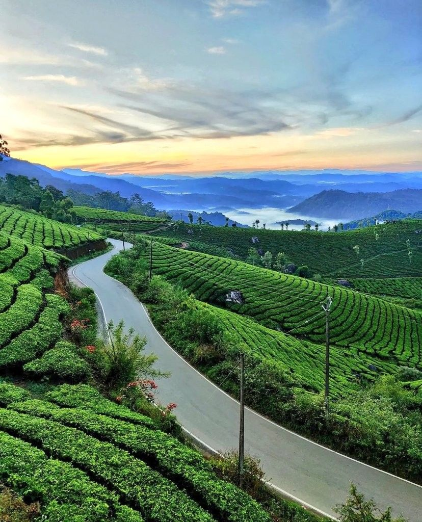 Chennai to Yercaud 3 Days